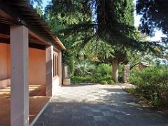 183 HYERES ET SES PALMIERS D02_000021